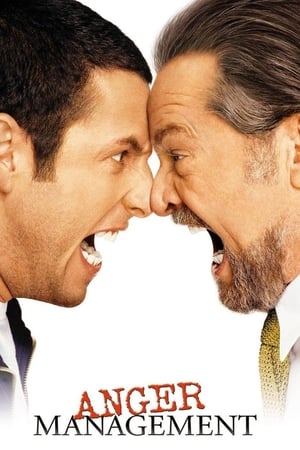 Anger Management (2003) Dual Audio HDRip | Dubbed Hindi Movie – 480p