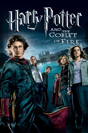 Fire & Ice (2008) Dual Audio | Dubbed Hindi Movie BluRay [1.1GB]