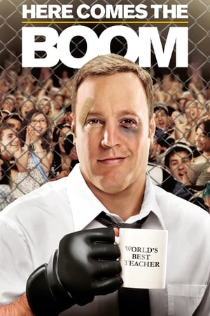 Here Comes the Boom 2012 Dual Audio HDRip | Dubbed Hindi Movie – 480p