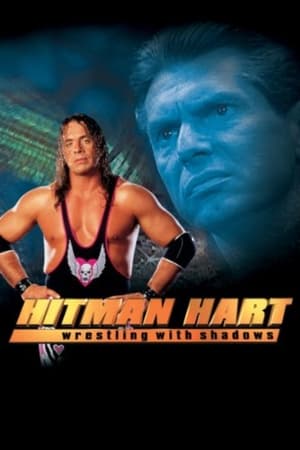 Hitman (1998) Dual Audio | Dubbed Hindi Movie UnCut HDRip 300MB