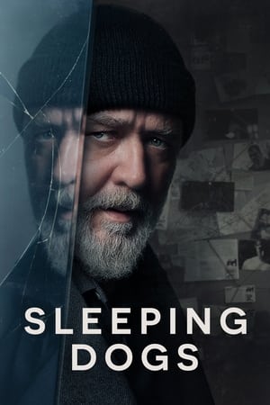 Sleeping Dogs (2024) Dual Audio HDRip | Dubbed Hindi Movie – 720p – 480p