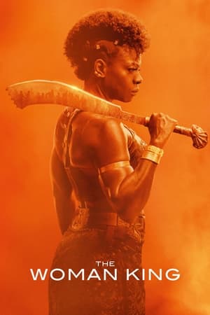 The Woman King 2022 (Cleaned) Dual Audio HDRip | Dubbed Hindi Movie – 480p